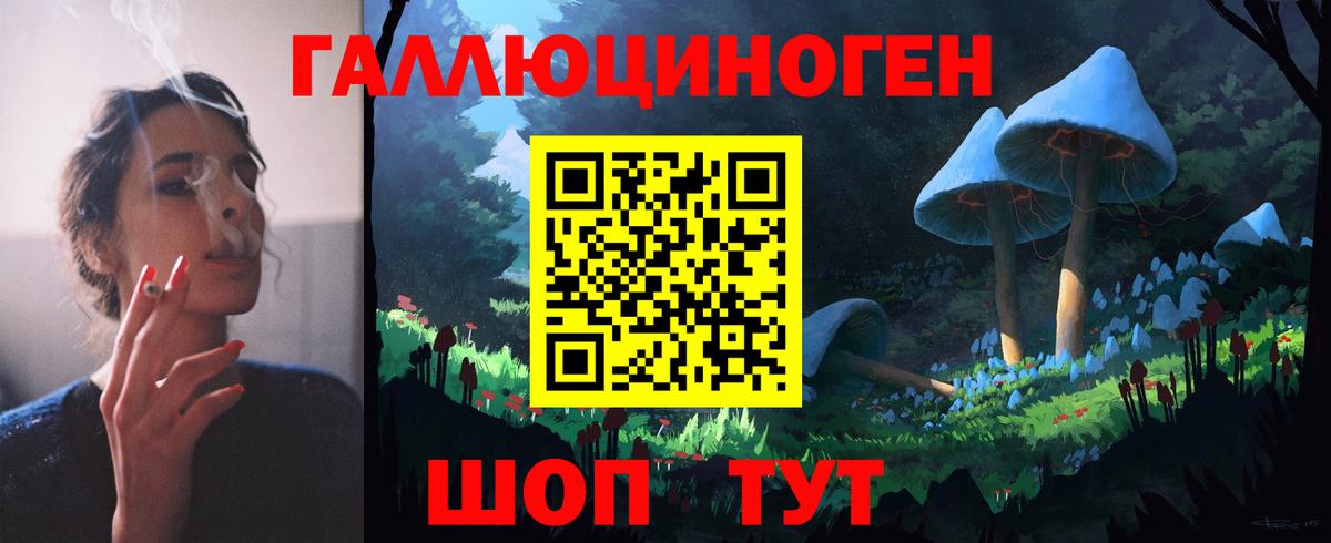 наркота  Вход с VPN  Бузулук  Псилоцибиновые грибы Psilocybine cubensis 